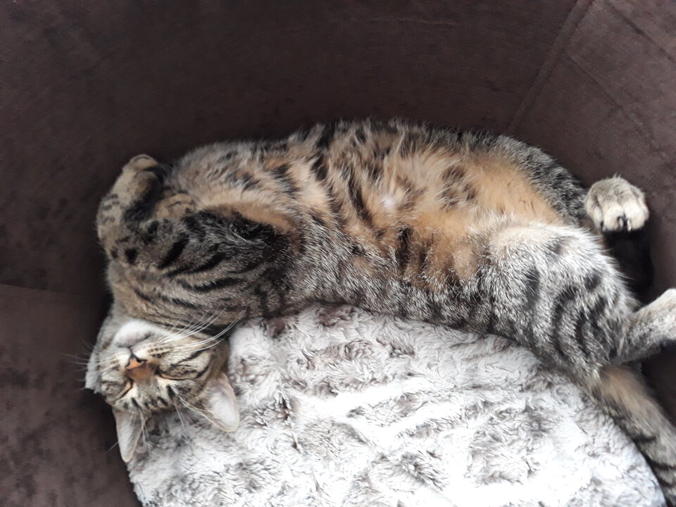 20230517_173132.jpg - RealniGrudziadz