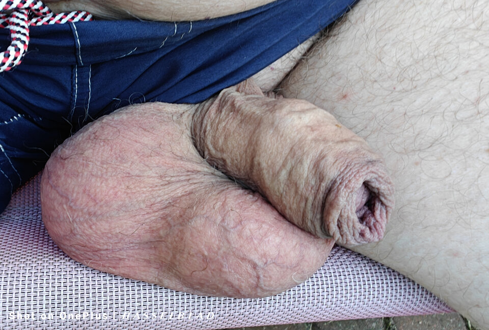 1000006225.jpg - jogan