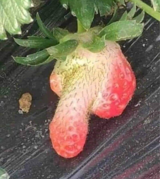 MarcinKT