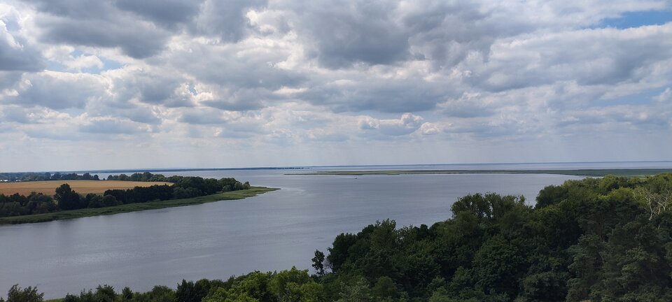 IMG_20240626_121637.jpg - torii99