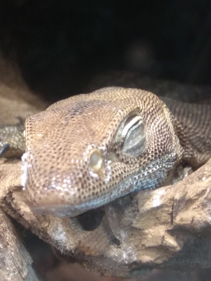 IMG_20240629_151713.jpg - TomaszArkadiusz