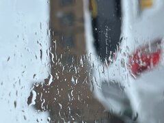 IMG_7230.jpeg