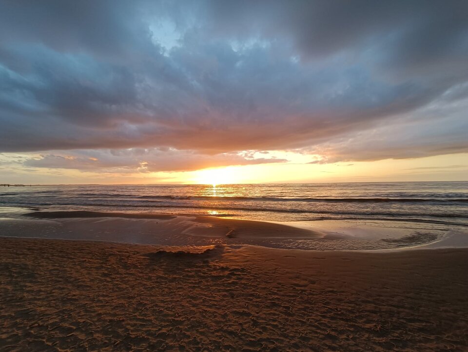 1000000031.jpg - Ferdekbi77gw