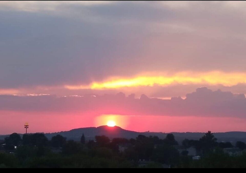 1000003801.jpg - Koko_35