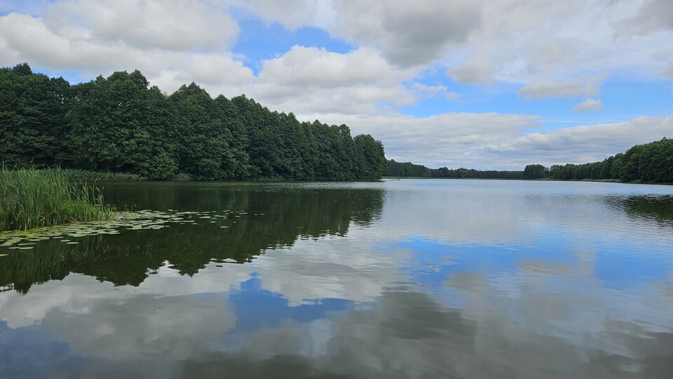 1000017873.jpg - skimir48