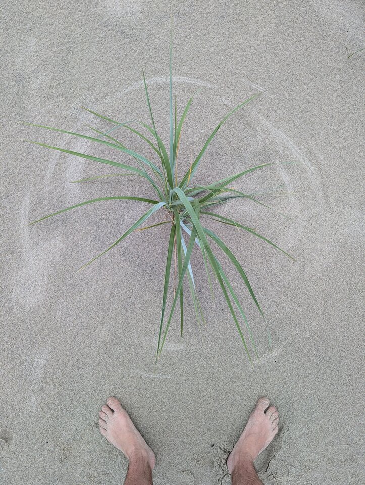 1000006220.jpg - inyanga