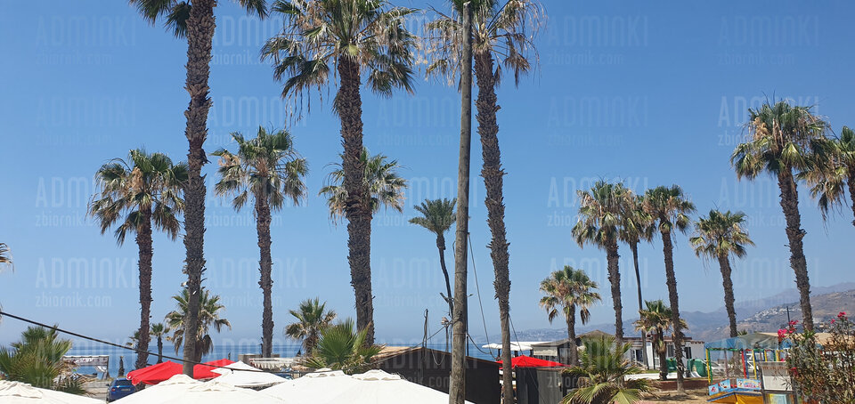 I wylądowali nad morzem🇪🇸🇪🇸🇪🇸🌞🌞🌞 - Adminki