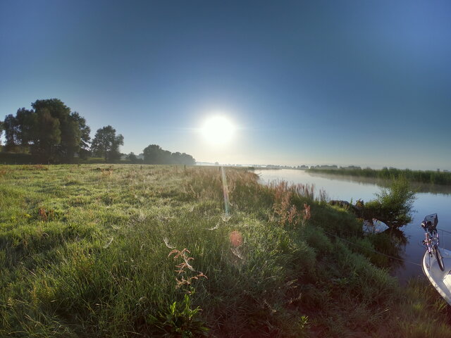 Diurd