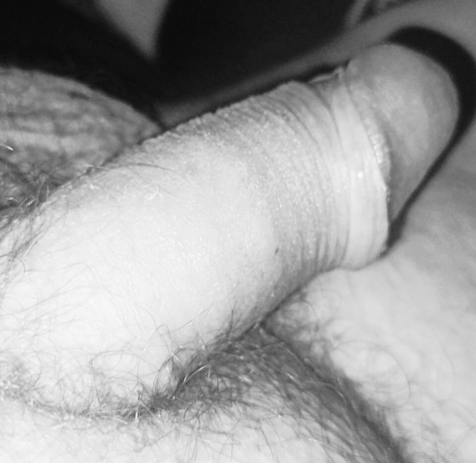 Polish_20240702_192344807.jpg - Tygryski8984