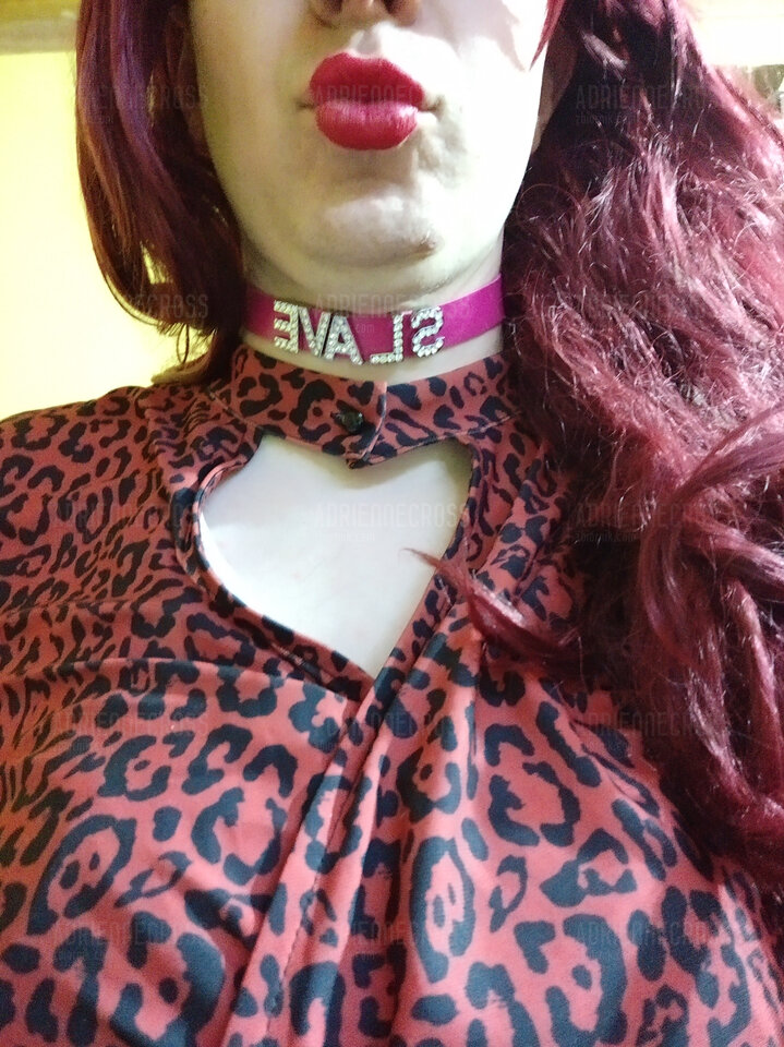 IMG_20240702_203354.jpg - Adriennecross