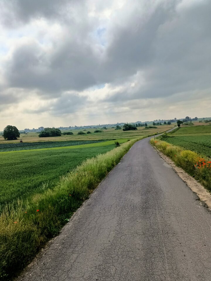 IMG20240529092533.jpg - hypns