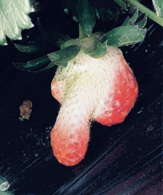 IMG_3679.jpeg - danielbx