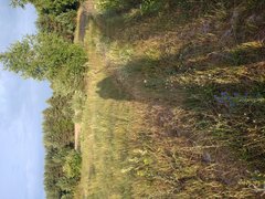 IMG_20240702_193745129.jpg