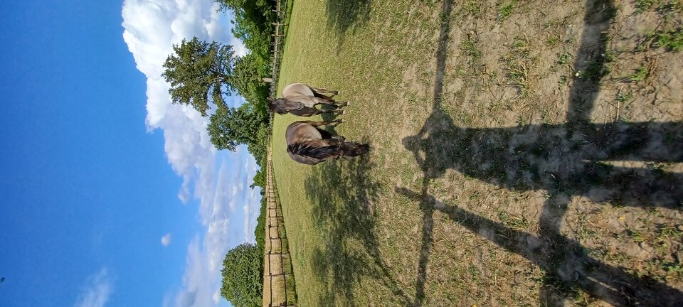 20240702_174758.jpg - Rickdangerous