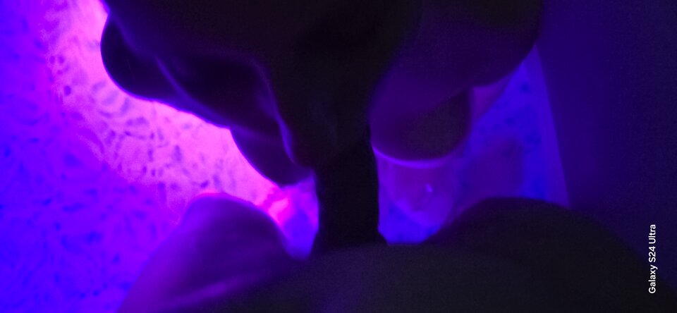 1000036281.jpg - KrisAlex5141