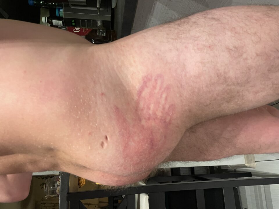 23B85C89-497F-443C-A0EE-EB28306E9A7C.jpeg - zwierzedozabawy