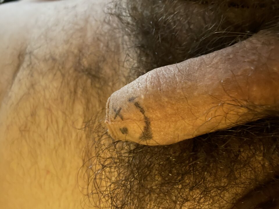 E970FF10-B52E-4D24-9ED7-00CFBCBCBCCD.jpeg - zwierzedozabawy