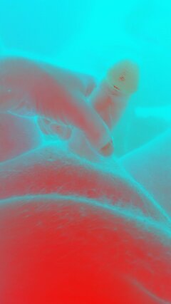 21ae8b53-97cc-456d-abbc-406595adfc3d-1_all_3003.jpg