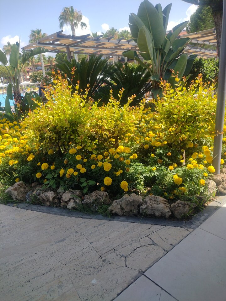 1720077618481439743889150840848.jpg - TomoiMery