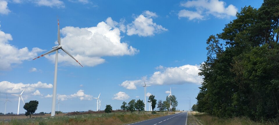 IMG_20240626_111028.jpg - torii99