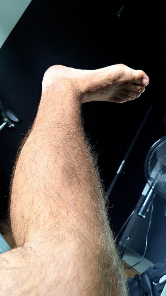 1000038669.jpg - toxict