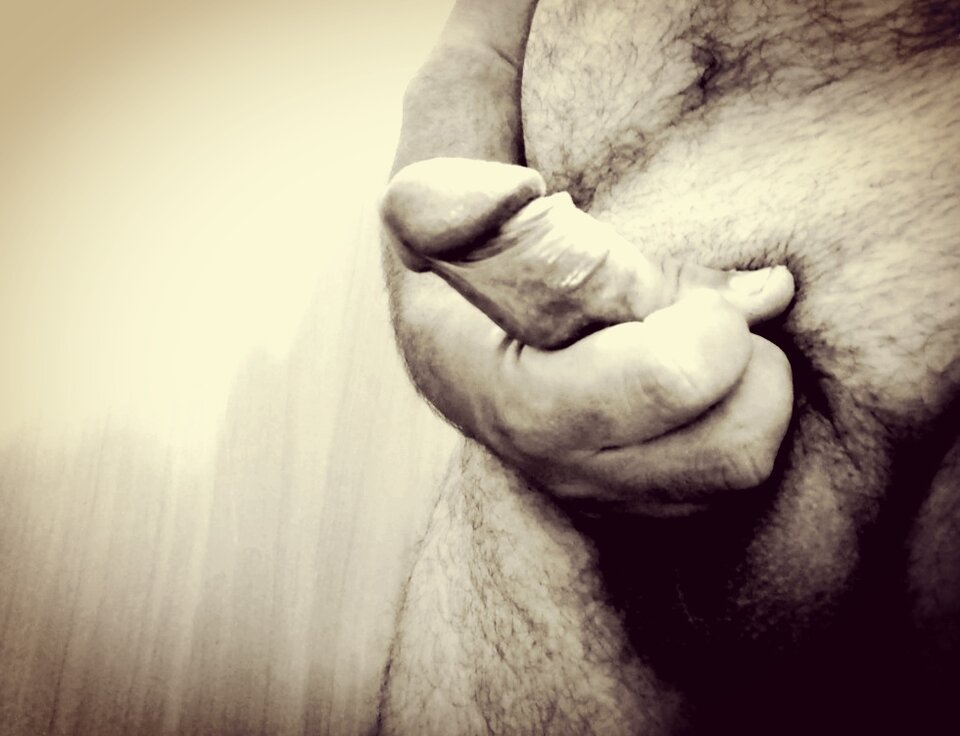 20240705_112310.jpg - Gorzowiacy9195