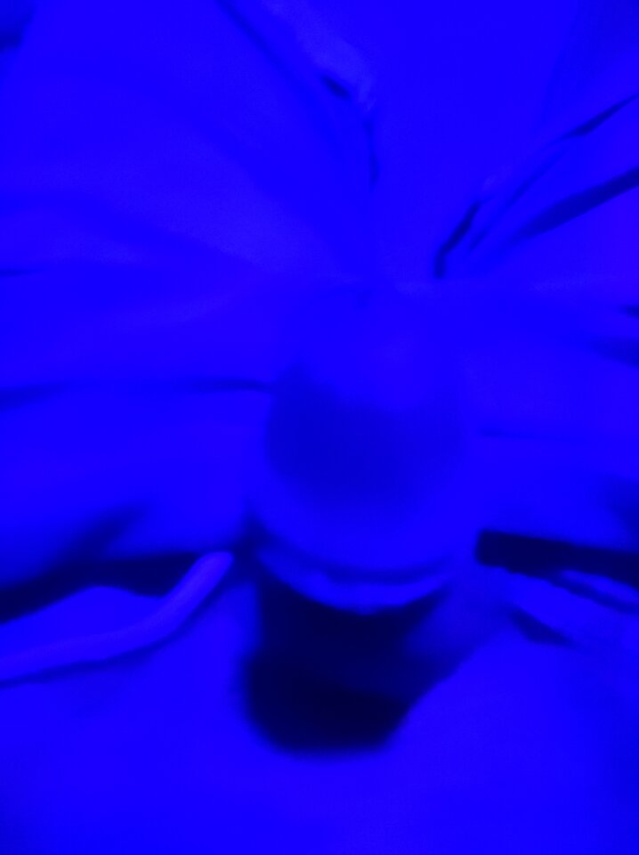 IMG_20240705_222238.jpg - BigMayk1999