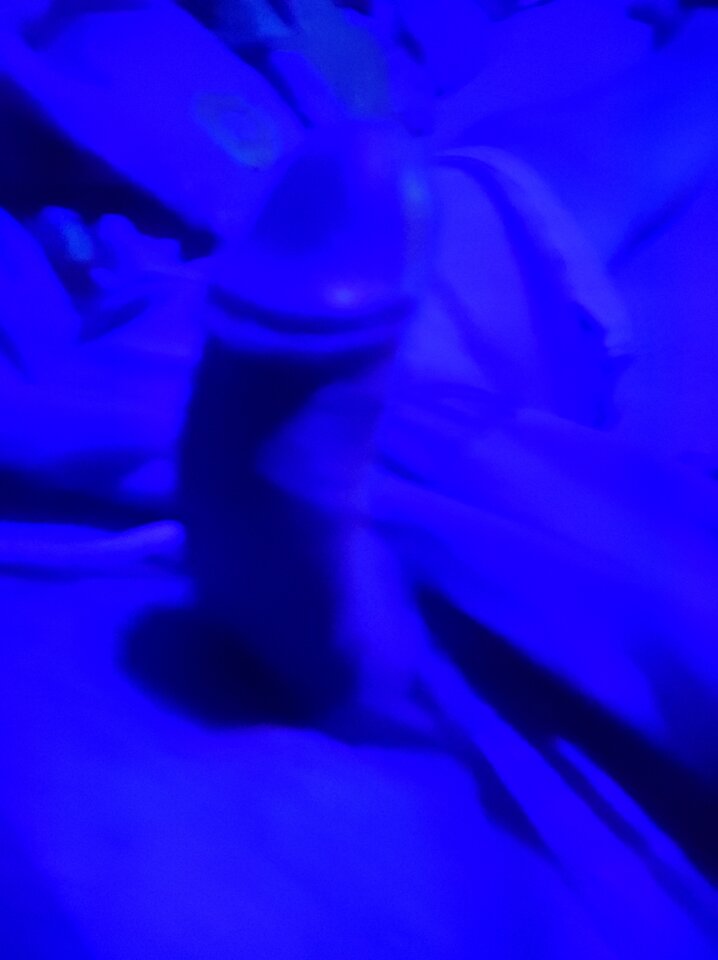 IMG_20240705_222233.jpg - BigMayk1999