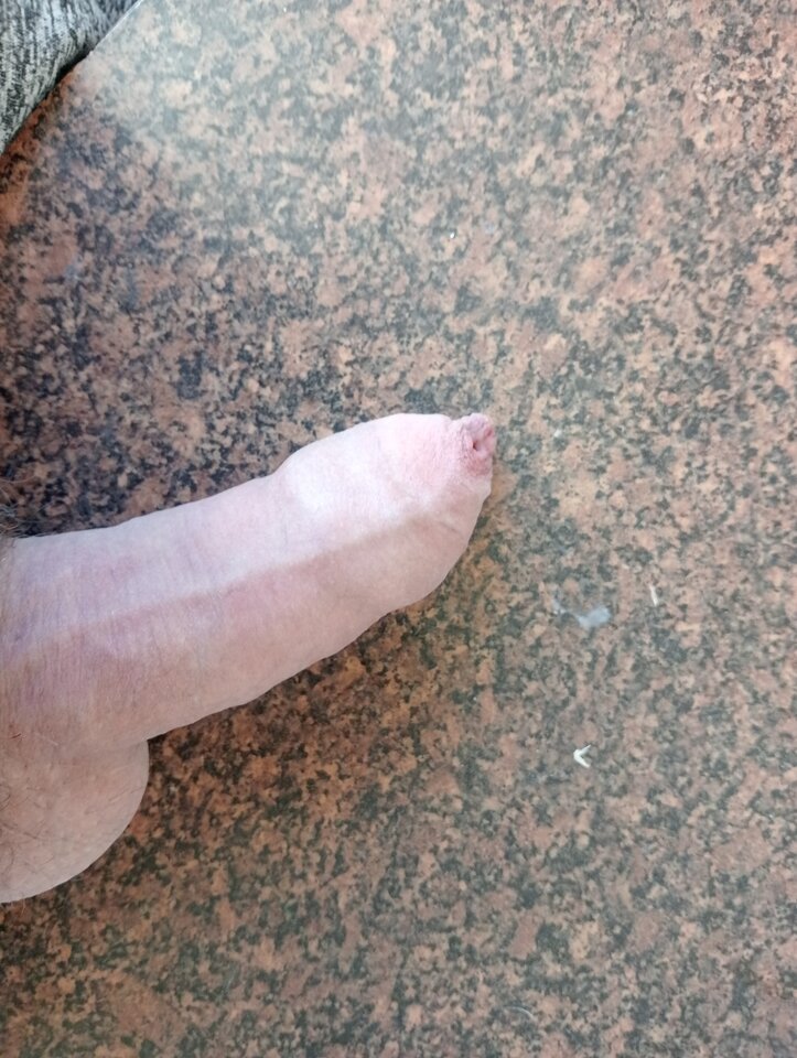 17202431524897106313980939290367.jpg - Hose198787