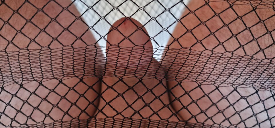 1720243684982634259528888769493.jpg - robin266