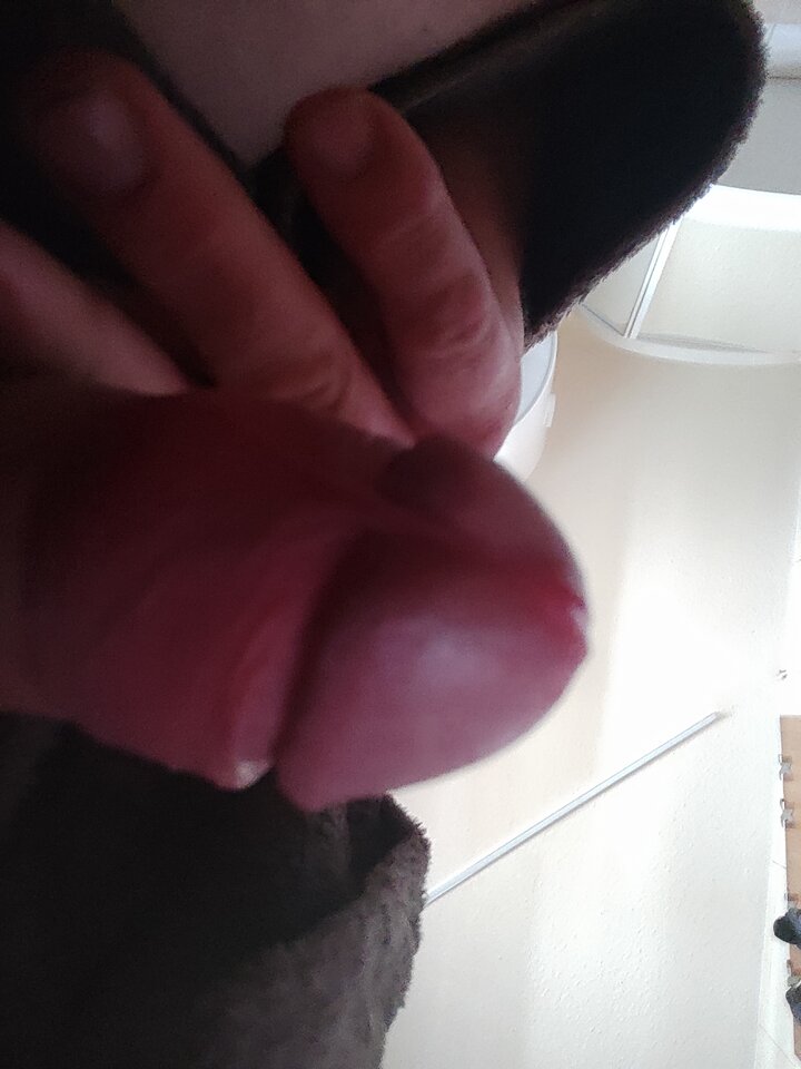 17202513886992598323194158235584.jpg - Janaj