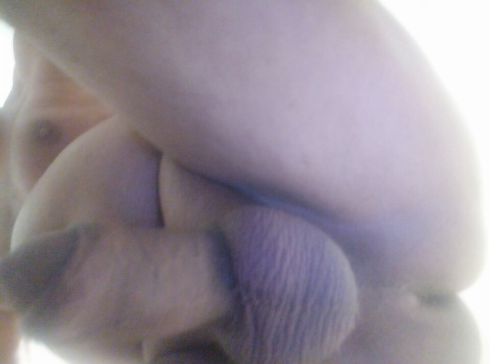 IMG_20240706_113815.jpg - tomasz131965