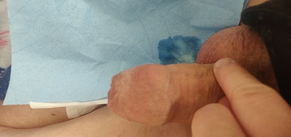 IMG_20240706_122955.jpg - fajnykutasek25