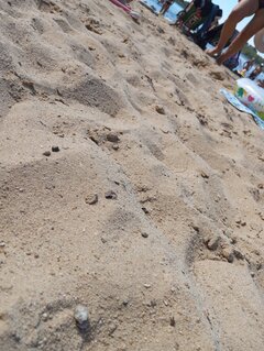 IMG_20240706_160245.jpg