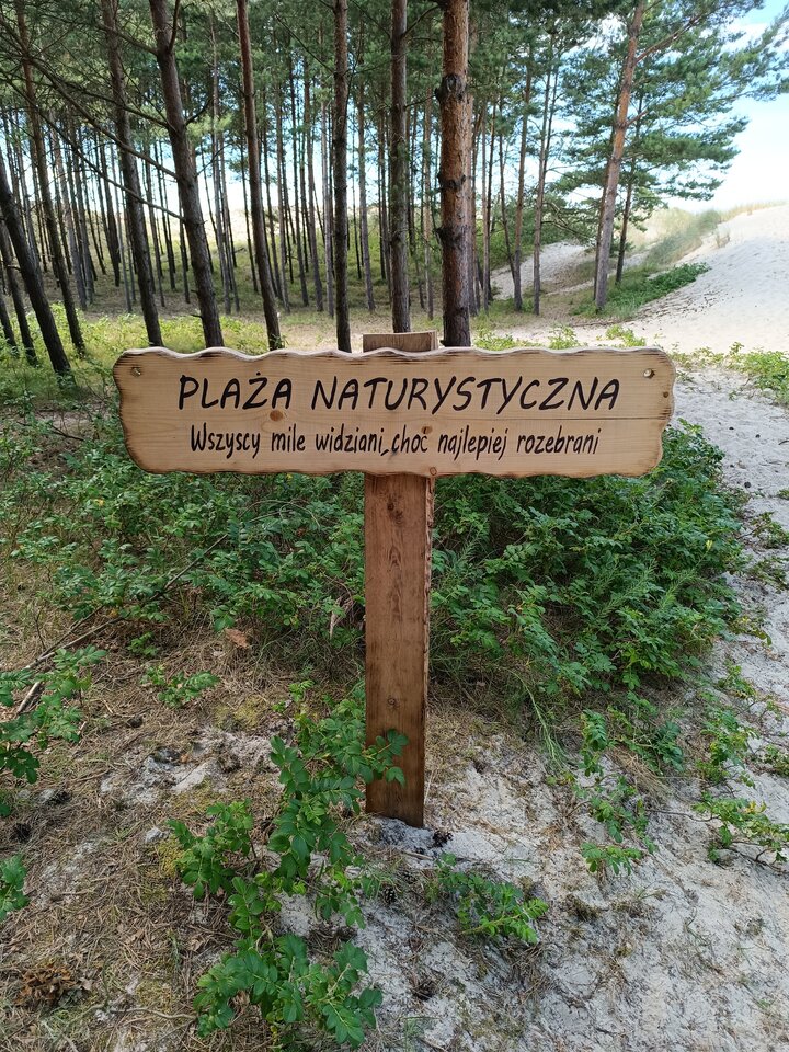 1000002427.jpg - Mucha1978