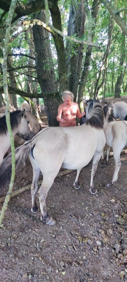 IMG-20240706-WA0005.jpg - nocna_para