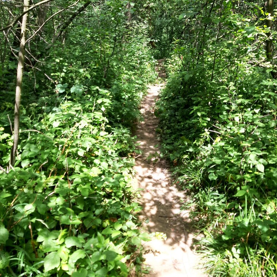 20240706_141257.jpg - Ali70plus