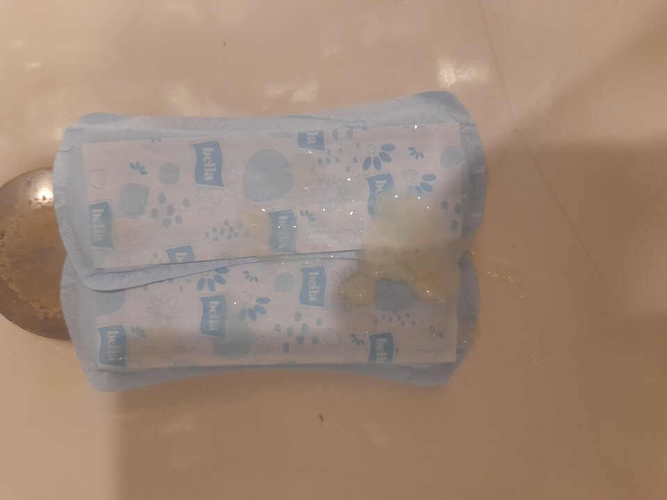 20240702_114909.jpg - 2igodles15cm