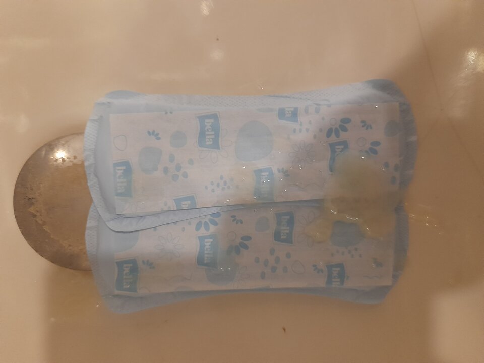 20240702_114906.jpg - 2igodles15cm