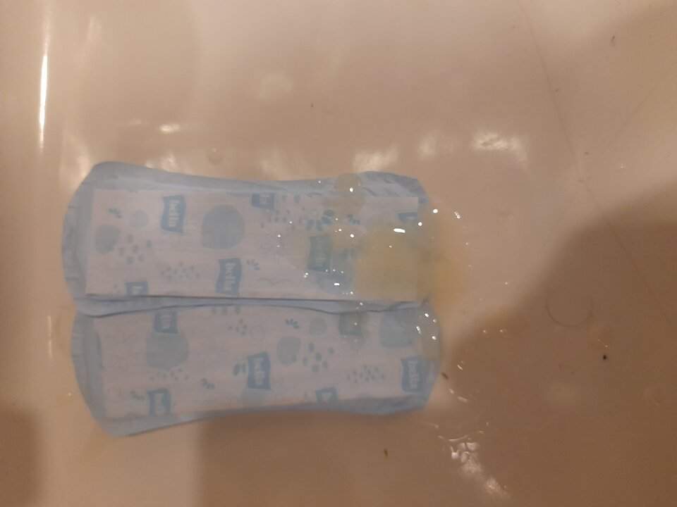 20240701_103157.jpg - 2igodles15cm