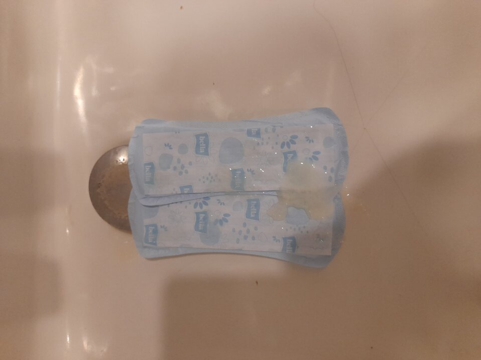 20240702_114900.jpg - 2igodles15cm