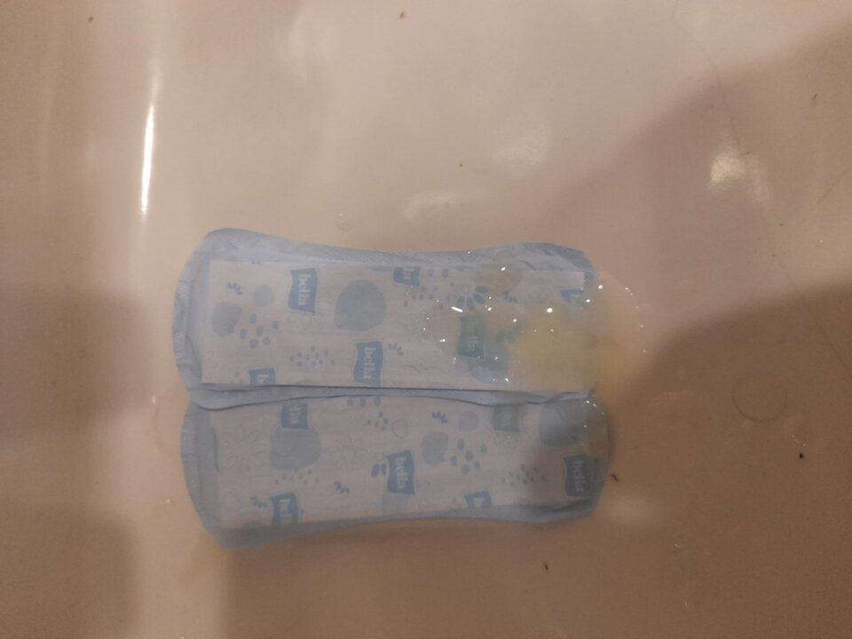 20240701_103143.jpg - 2igodles15cm