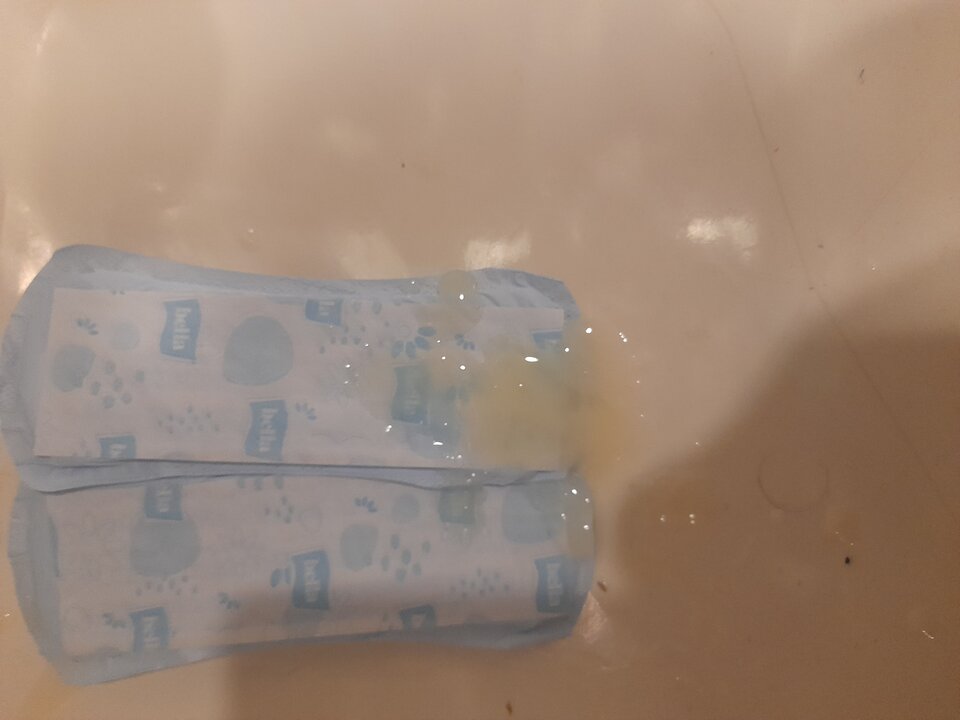 20240701_103155.jpg - 2igodles15cm