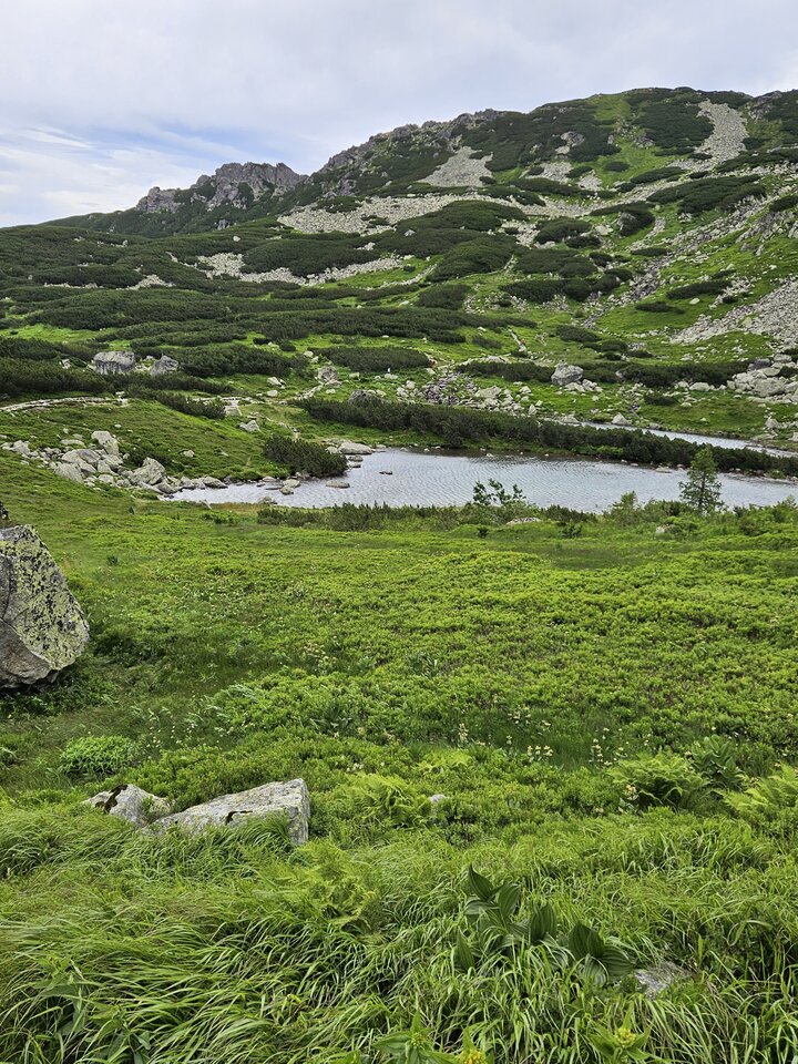 1000005463.jpg - ZakazanaStrefa