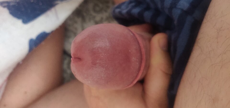 IMG_20240707_100809.jpg - fajnykutasek25