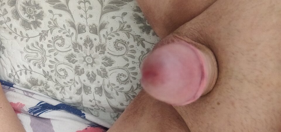 IMG_20240707_103723.jpg - fajnykutasek25