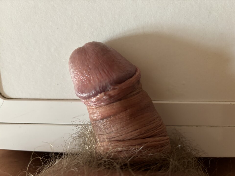 IMG_2634.jpeg - feetek