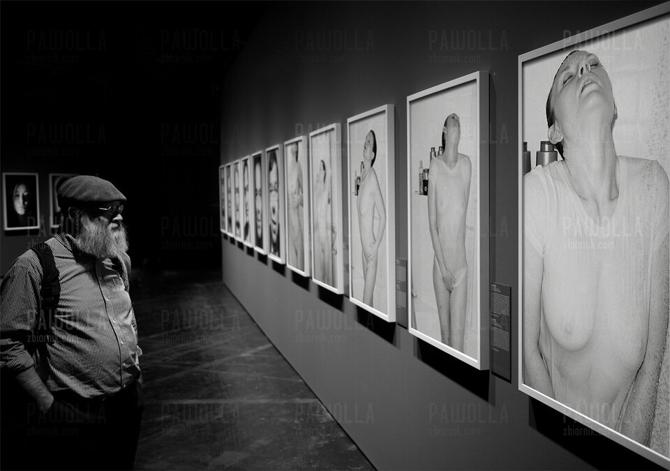 Wystawiona - pawolla