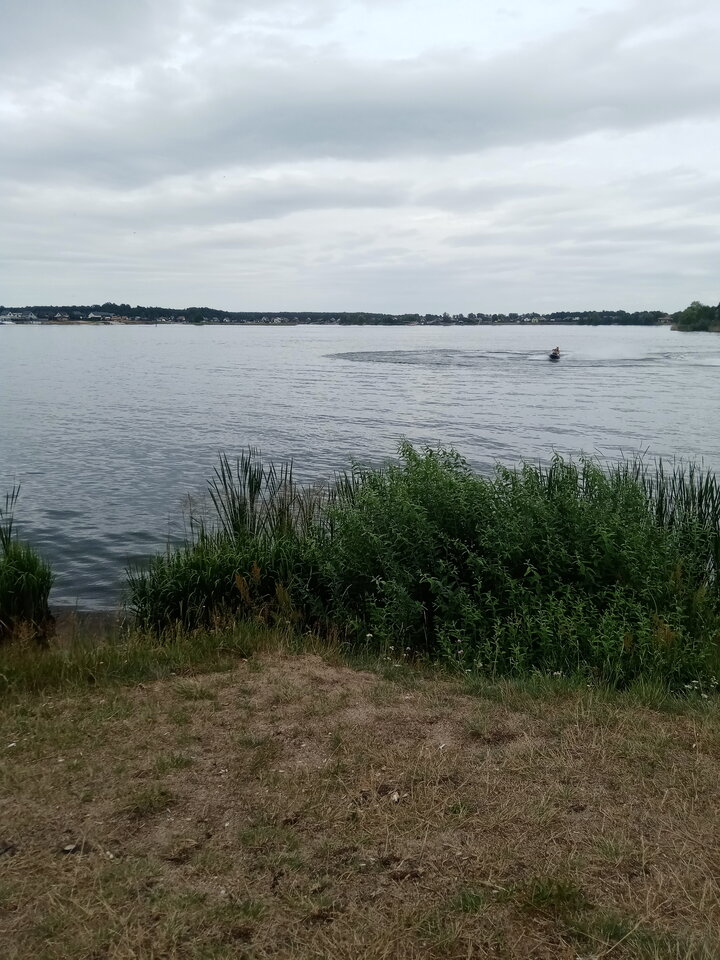 17203573878558609965759833963.jpg - VolvoFh42017