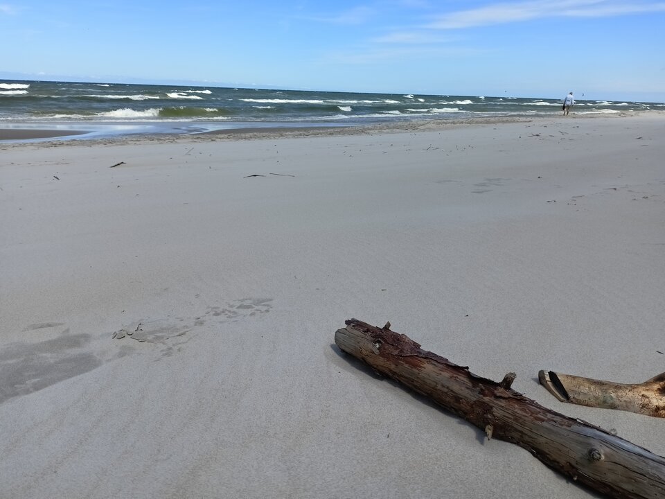 IMG20240707134032.jpg - Calusnapara